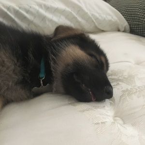 Meet your Posher, Kara